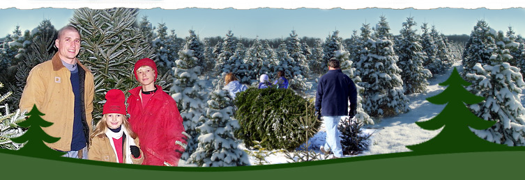Christmas Tree Farm - Jarrettsville, MD