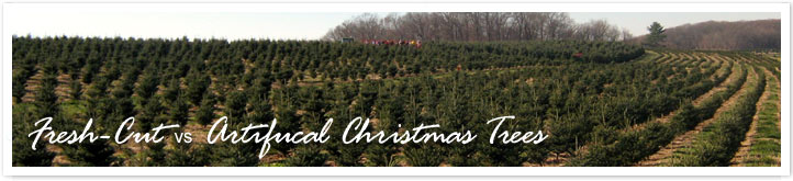 Fresh-cut Real Christmas Trees vs Fake Christmas Trees